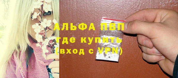 СК Алзамай